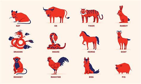 Chinese Zodiac: 12 Zodiac Animal Signs Calculator, .